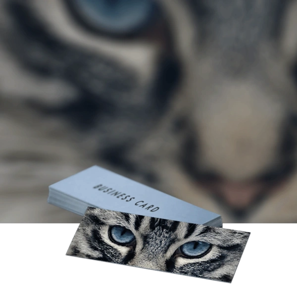 Business Cards Product Image